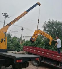 辽宁小吊车三轮吊运机随车吊异型小吊机汽车吊小型吊车小型吊机单臂吊