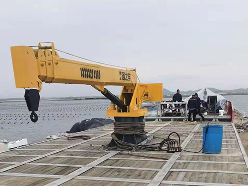 辽宁9吨船吊机